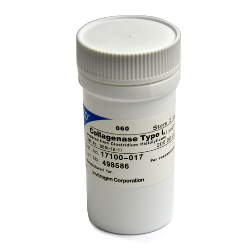 胶原酶II型,Invitrogen原装 Collagenase II